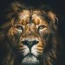 KingM