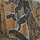 Ramo
