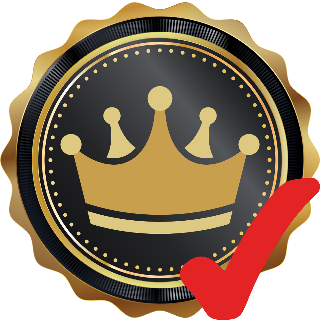Most Active Official Illegal Faction During Community Awards 2025