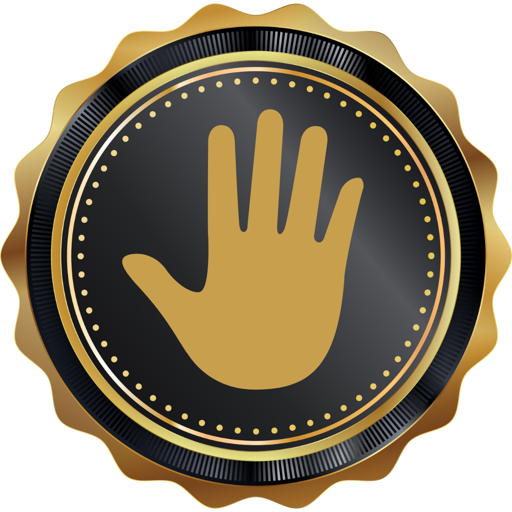 Voted Most Helpful Player of the Year 2025