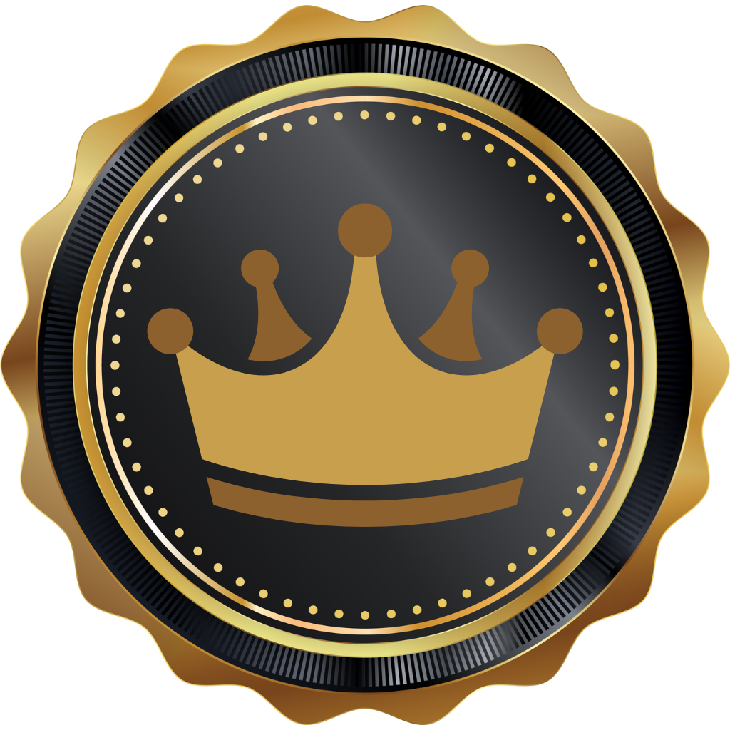 Voted Best Official Illegal Faction of the Year 2025