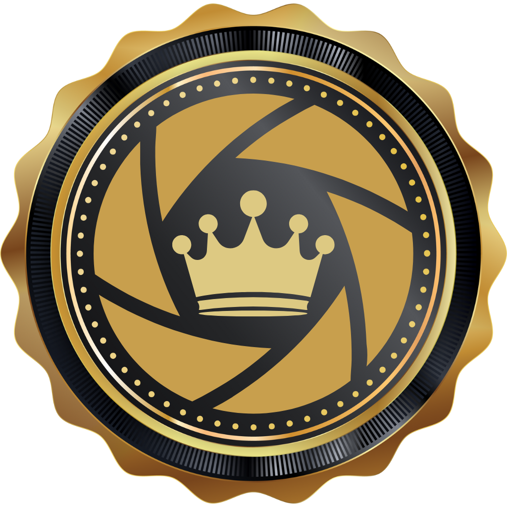 Best Legal Faction Trailer, Illegal Faction Trailer or Company Trailer of the Year